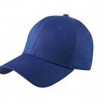 New Era Royal