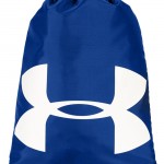 Under Armour Royal